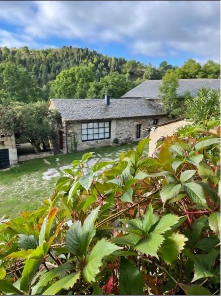 Le Chateau Brangoly (Adults Only) Enveitg 외부 사진